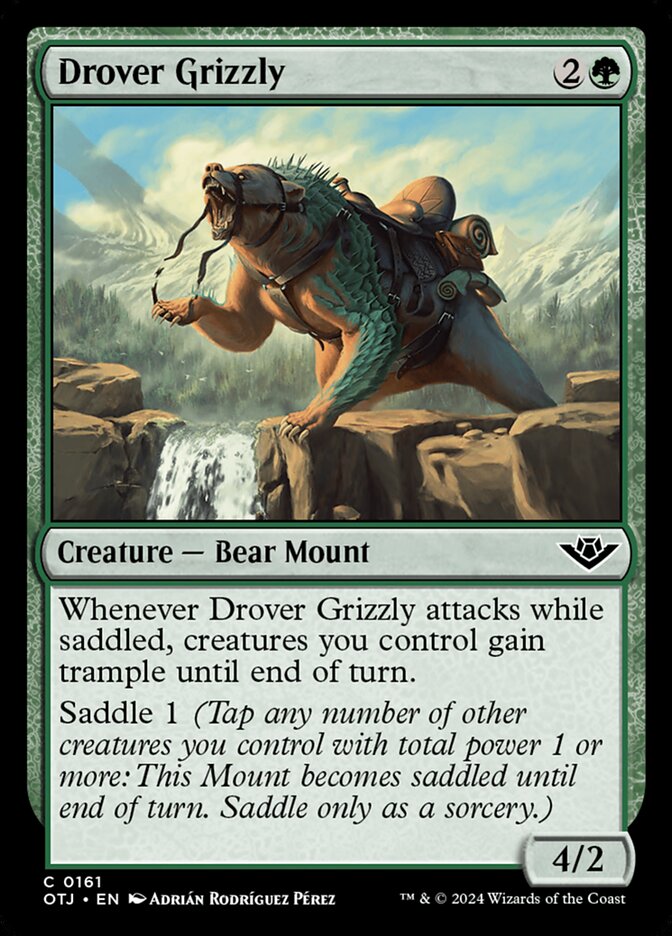 MTG Magic the Gathering Drover Grizzly (161/441) Outlaws of