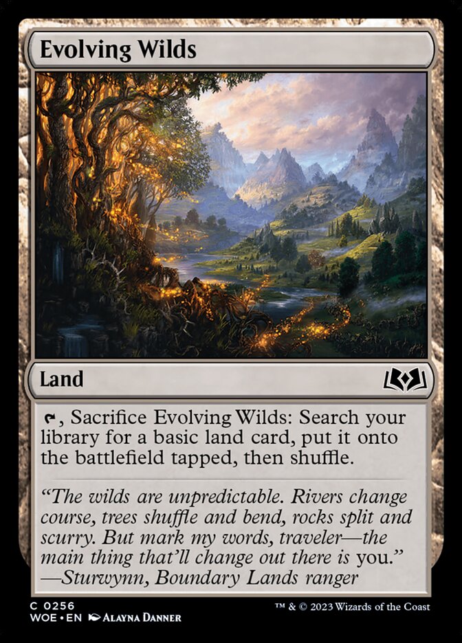 MTG Magic the Gathering Evolving Wilds (256/515) Wilds of Eldraine LP